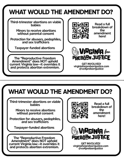 ballot-amendment-halfsheet-page1
