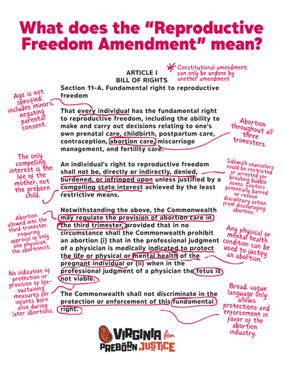 Amendment Breakdown