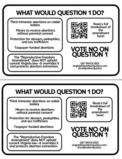 Ballot & Amendment Half-Sheet (English)