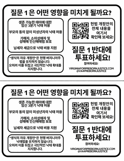 Ballot & Amendment Half-Sheet (Korean)