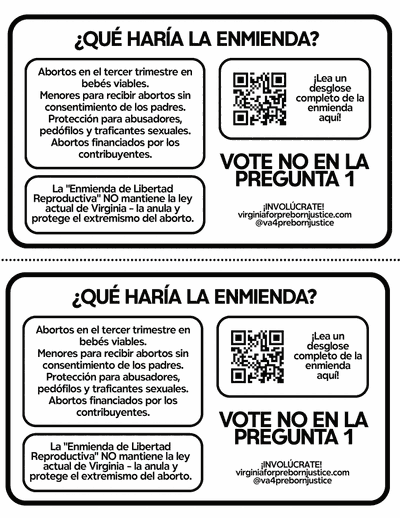 Ballot & Amendment Half-Sheet (Spanish)