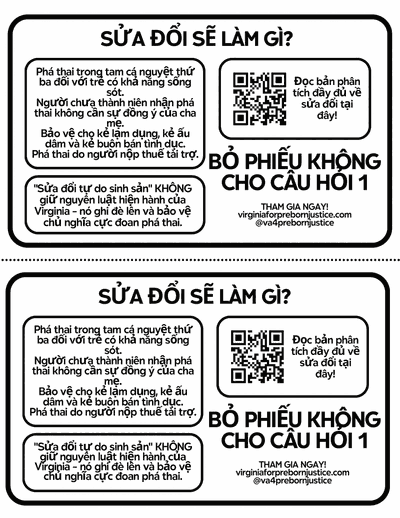 Ballot & Amendment Half-Sheet (Vietnamese)